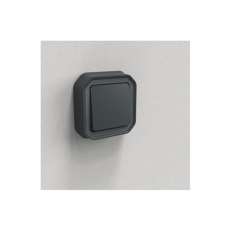 Interrupteur va-et-vient 10AX Anthracite Plexo