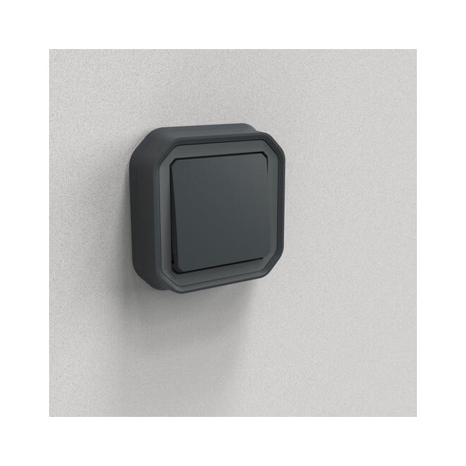 Interrupteur va-et-vient 10AX Anthracite Plexo