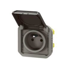 Prise de courant 2P+T Anthracite Plexo