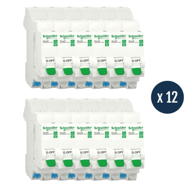 Lot 12 disjoncteurs Schneider Resi9 XE 16A courbe D 1P+N embrochable R9EFD616
