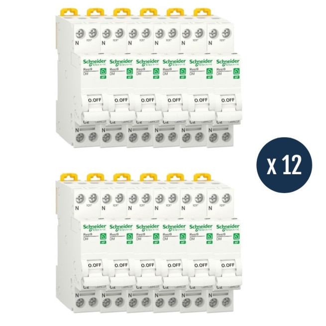 Lot 12 disjoncteurs Schneider Resi9 10A courbe D 1P+N peignable R9PFD610