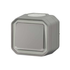Interrupteur témoin 10AX Gris Plexo