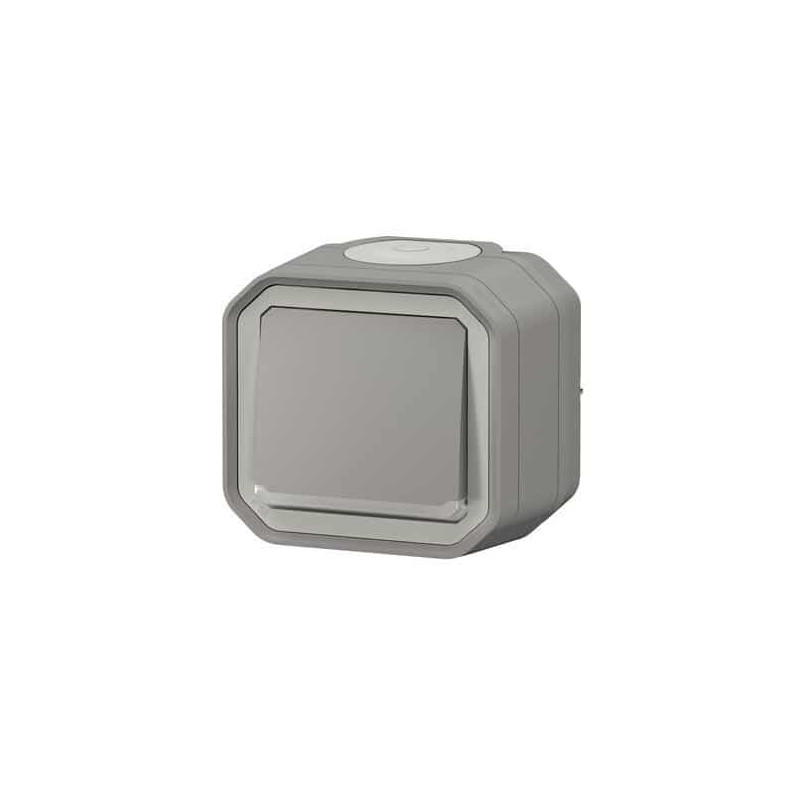 Interrupteur témoin 10AX Gris Plexo