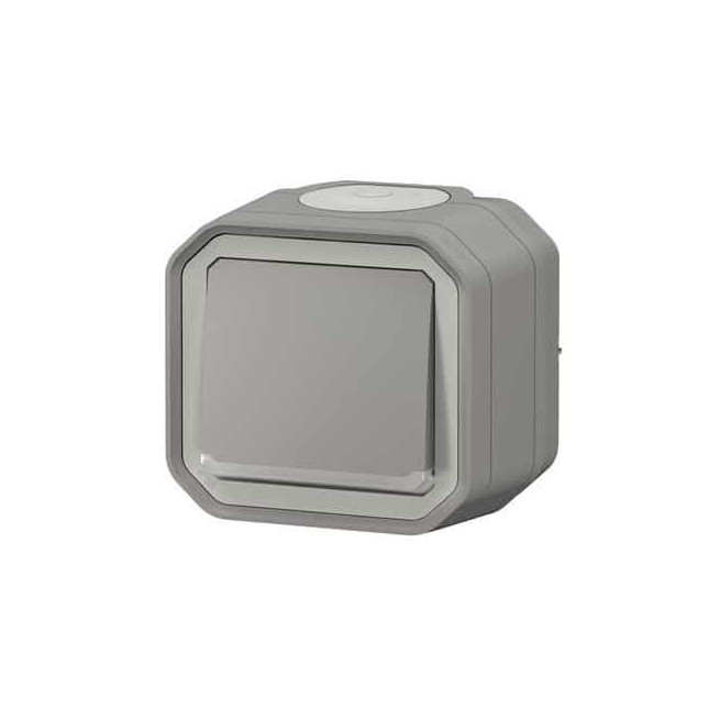 Interrupteur témoin 10AX Gris Plexo