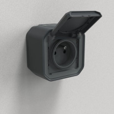 Prise 2P+T avec volet Anthracite Plexo