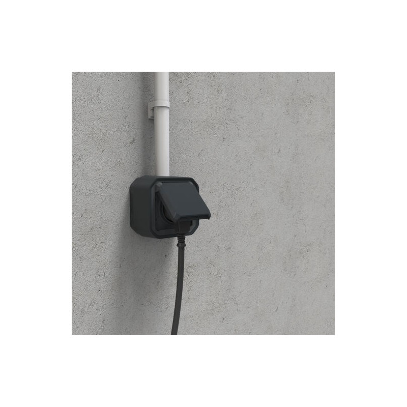 Prise 2P+T avec volet Anthracite Plexo