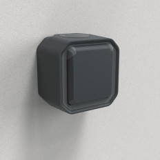 Prise 2P+T avec volet Anthracite Plexo