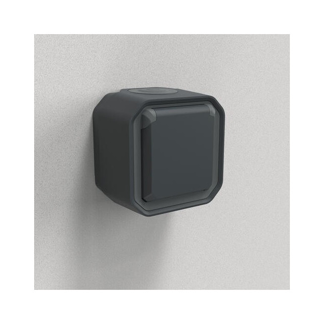 Prise 2P+T avec volet Anthracite Plexo