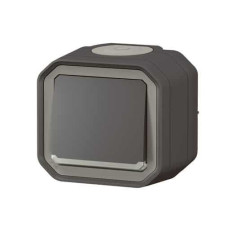 Interrupteur lumineux Anthracite Plexo