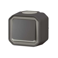 Interrupteur témoin Anthracite Plexo