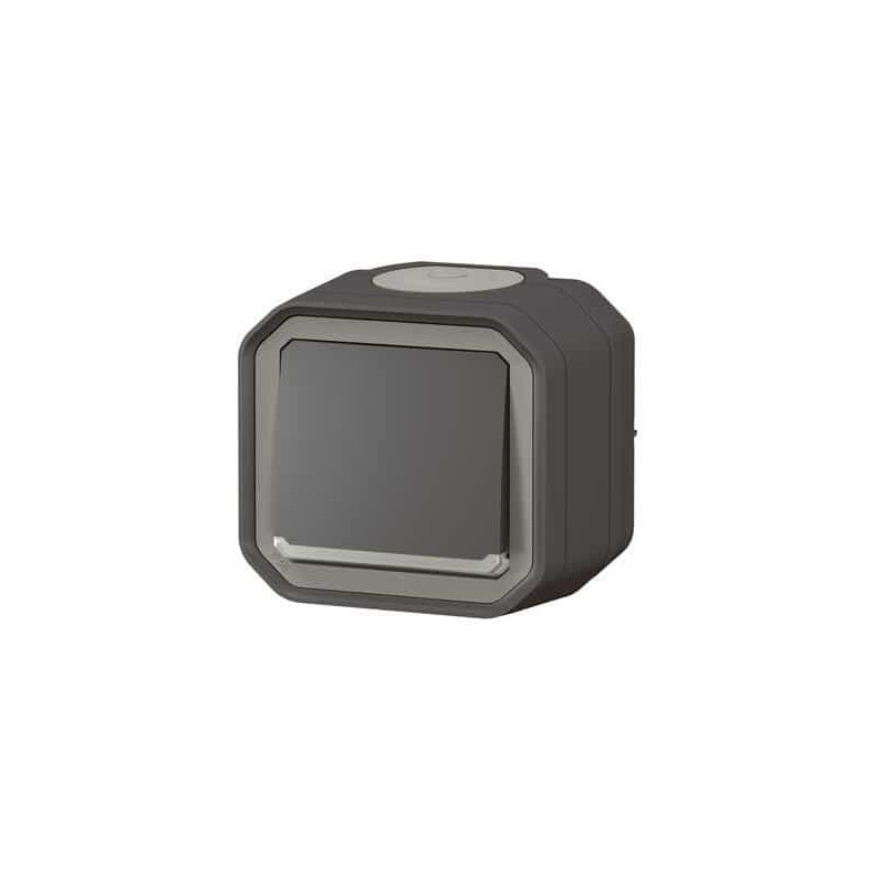 Interrupteur témoin Anthracite Plexo