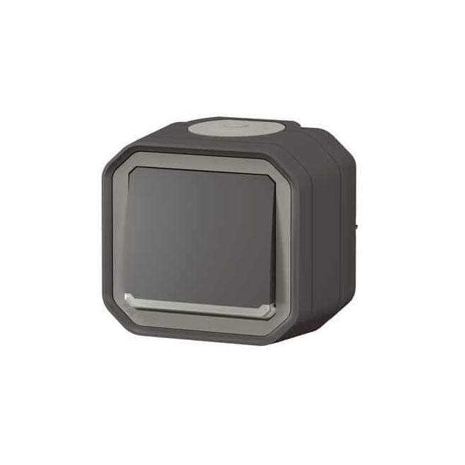 Interrupteur témoin Anthracite Plexo