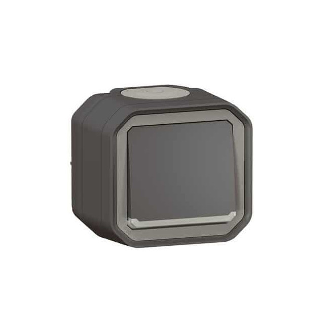 Interrupteur témoin Anthracite Plexo