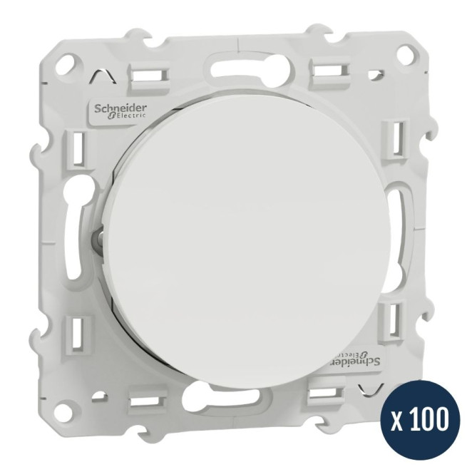 Lot de 100 va-et-vient - Blanc - Odace 2011