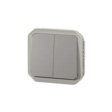 Double interrupteur ou poussoir Gris Plexo