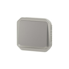 Poussoir NO lumineux Gris Plexo