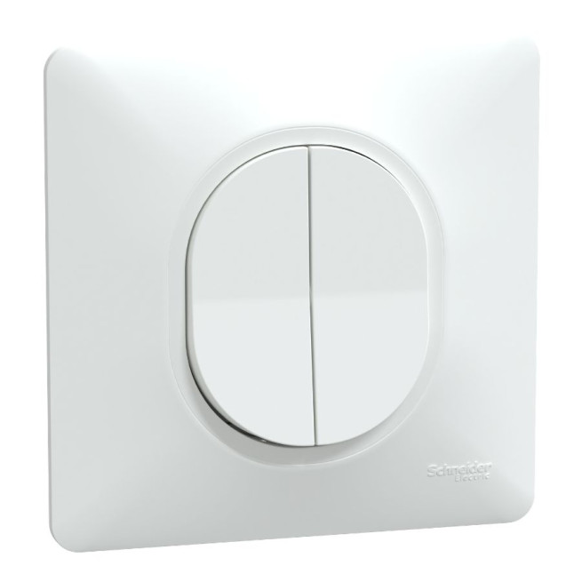 Double va-et-vient - 10 AX - Avec plaque - Blanc - Ovalis
