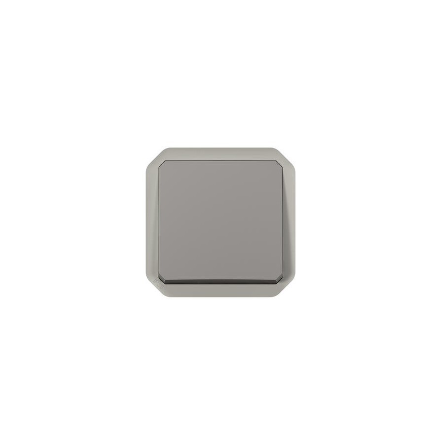 Poussoir simple étanche Plexo 10A à équiper d'un boitier ou d'une plaque  support finition gris