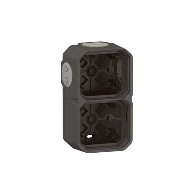 Boîtier apparent 2 postes Anthracite Plexo