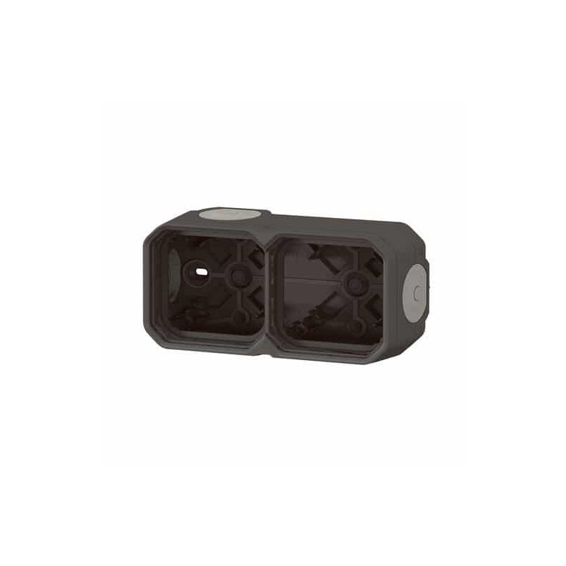 Boîtier apparent 2 postes Anthracite Plexo