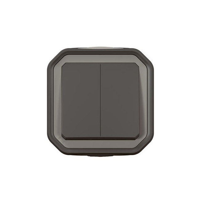 Double interrupteur poussoir Anthracite Plexo