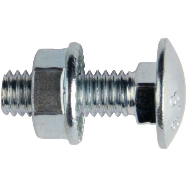 Lot de 100 boulons - Tête ronde collet carré - M6 x 30 mm
