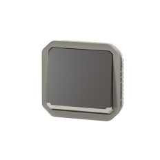 Interrupteur va-et-vient lumineux Anthracite Plexo