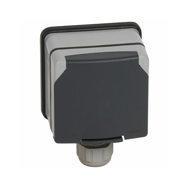 Prise 3P+T+N 20A protection Plexo 66