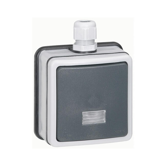 Interrupteur bipolaire voyant 10A Plexo 66