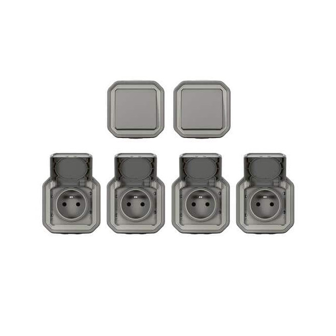 Lot 2 va-et-vient + 4 prises 2P+T Gris Plexo