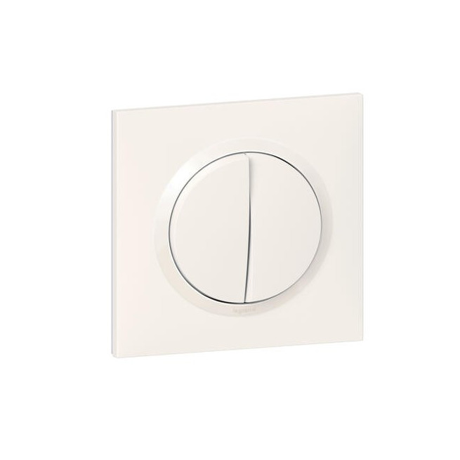 Transformeur 5 fonctions Dooxie One Legrand avec plaque