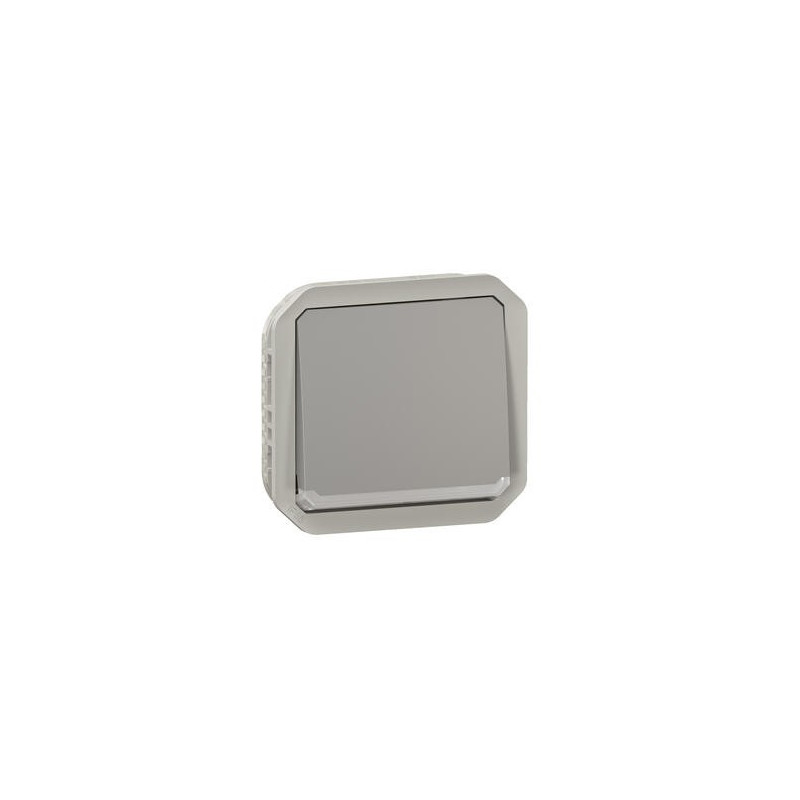 Interrupteur témoin 10AX Gris Plexo