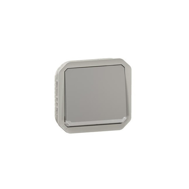 Interrupteur témoin 10AX Gris Plexo