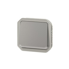 Interrupteur témoin 10AX Gris Plexo