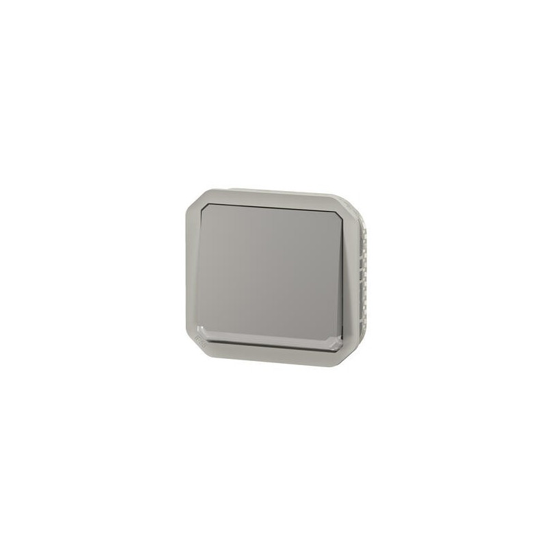 Interrupteur témoin 10AX Gris Plexo
