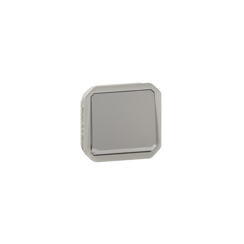 Interrupteur lumineux 10AX Gris Plexo