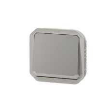 Interrupteur lumineux 10AX Gris Plexo