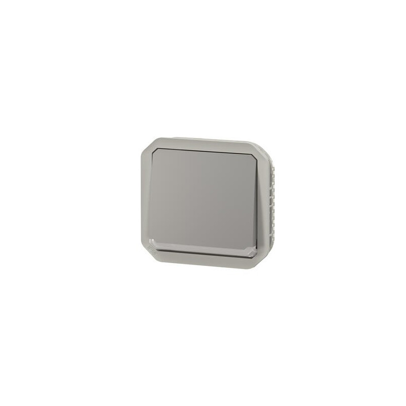 Interrupteur lumineux 10AX Gris Plexo
