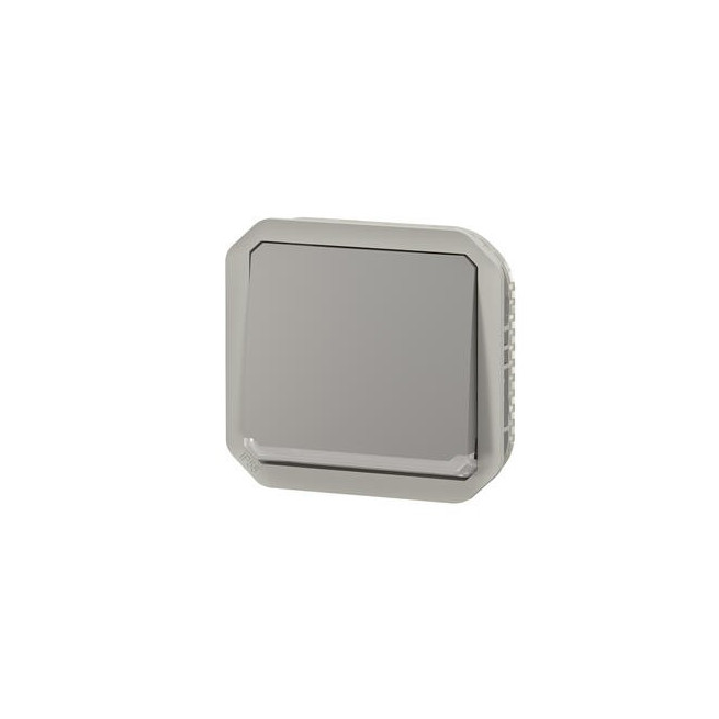 Interrupteur lumineux 10AX Gris Plexo