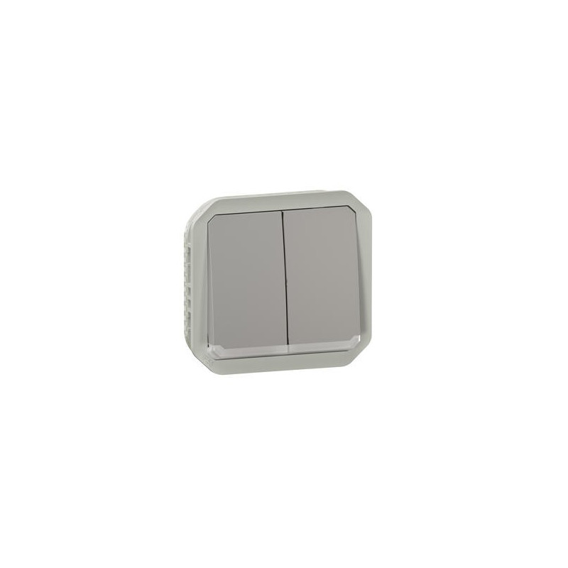 Double interrupteur lumineux Gris Plexo
