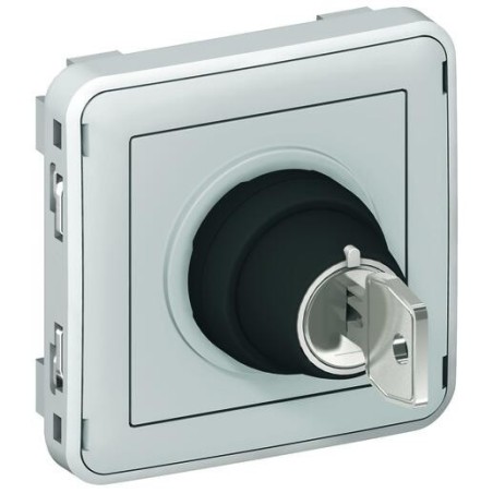 Interrupteur à clé étanche Ronis n°455 2 positions Plexo composable IP55 3A 250V - gris