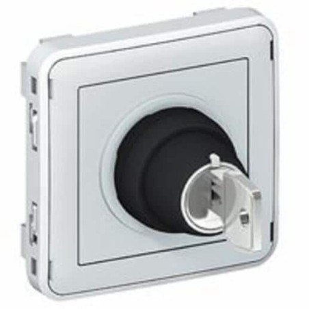 Interrupteur à clé étanche Ronis n°455 3 positions Plexo composable IP55 3A 250V - gris
