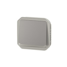 Poussoir NO lumineux Gris Plexo