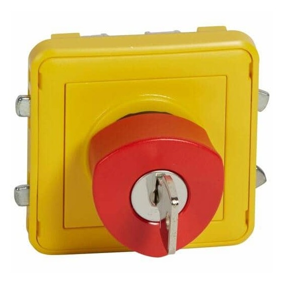 Poussoir NO+NF à déverrouillage à clé étanche Plexo composable IP55 3A 250V - gris et jaune
