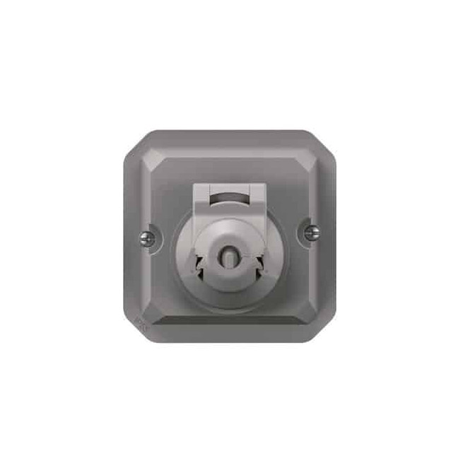 Adaptateur prise RJ45 Mosaic Gris Plexo