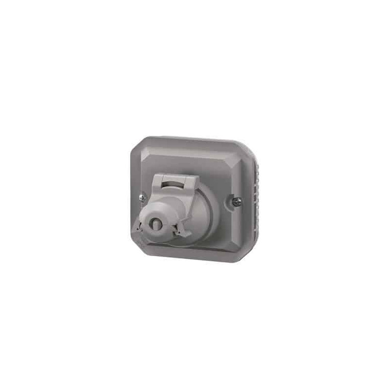 Adaptateur prise RJ45 Mosaic Gris Plexo