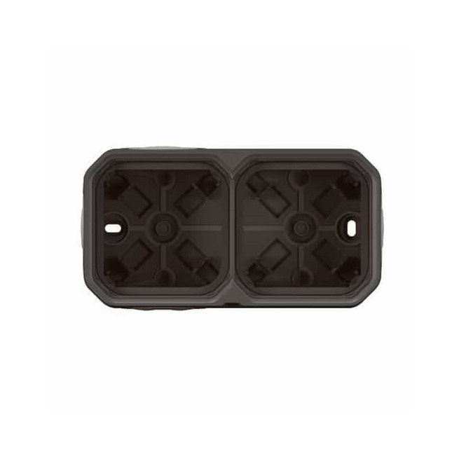 Boîtier saillie 2 postes Anthracite Plexo