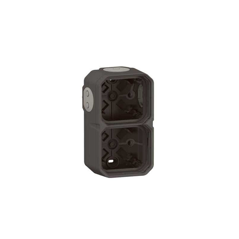 Boîtier saillie 2 postes Anthracite Plexo