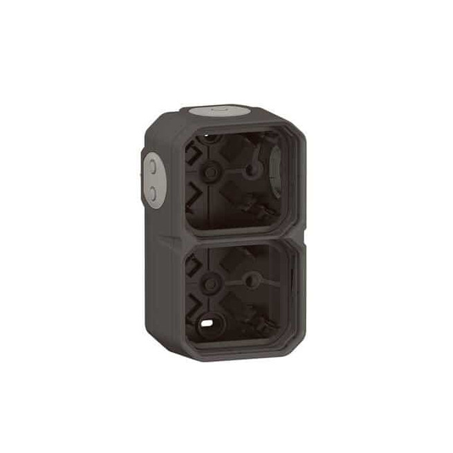 Boîtier saillie 2 postes Anthracite Plexo