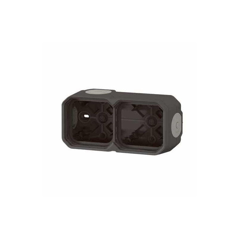 Boîtier saillie 2 postes Anthracite Plexo